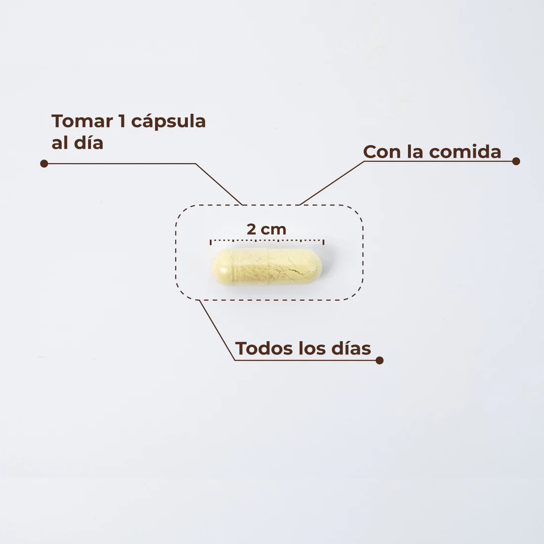 Kobho Trans-Resveratrol con Quercetina 60 cápsulas